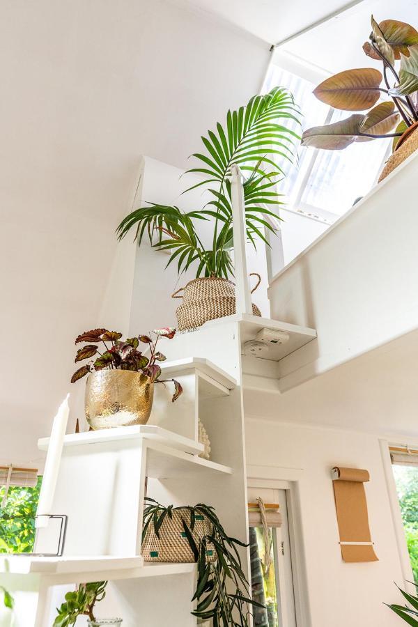 Boho Hill Waiheke Island Villa Palm Beach Esterno foto