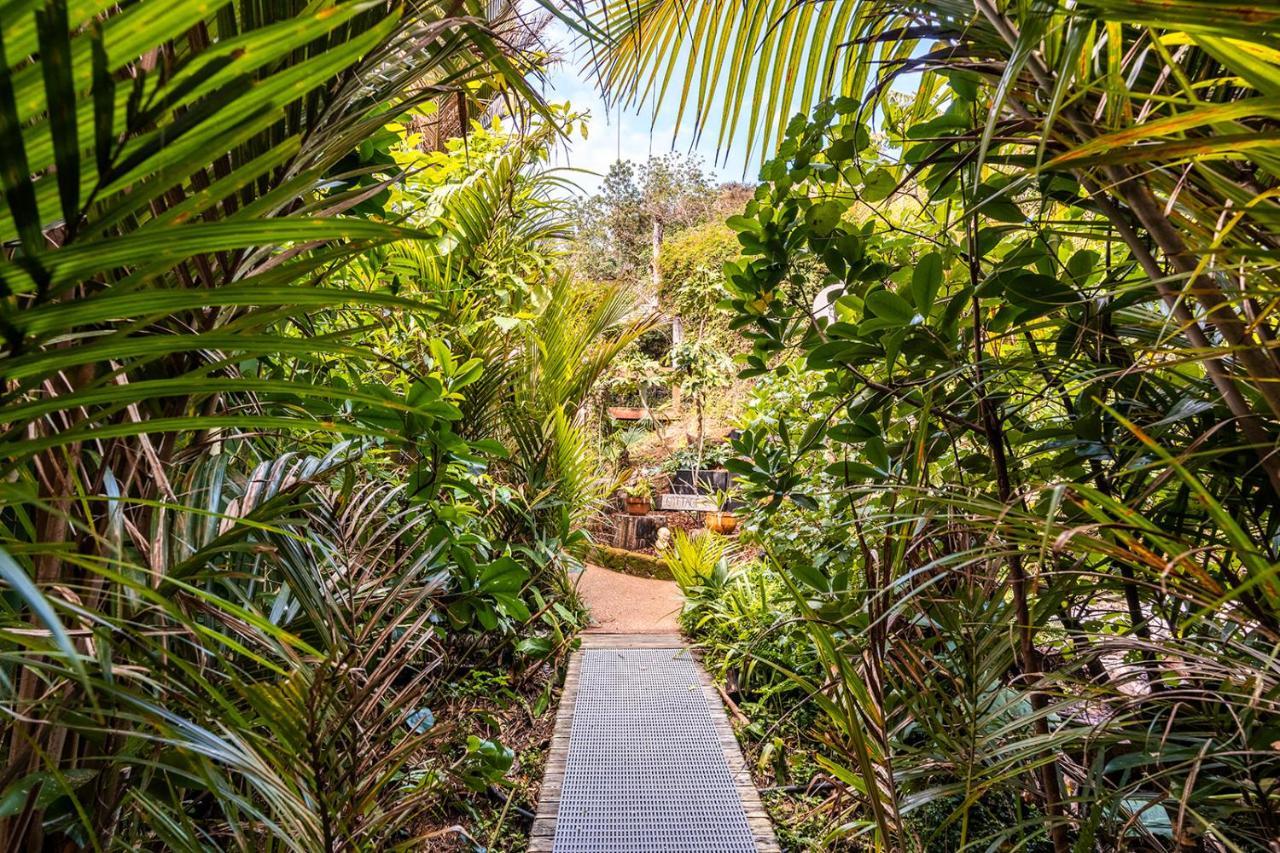 Boho Hill Waiheke Island Villa Palm Beach Esterno foto