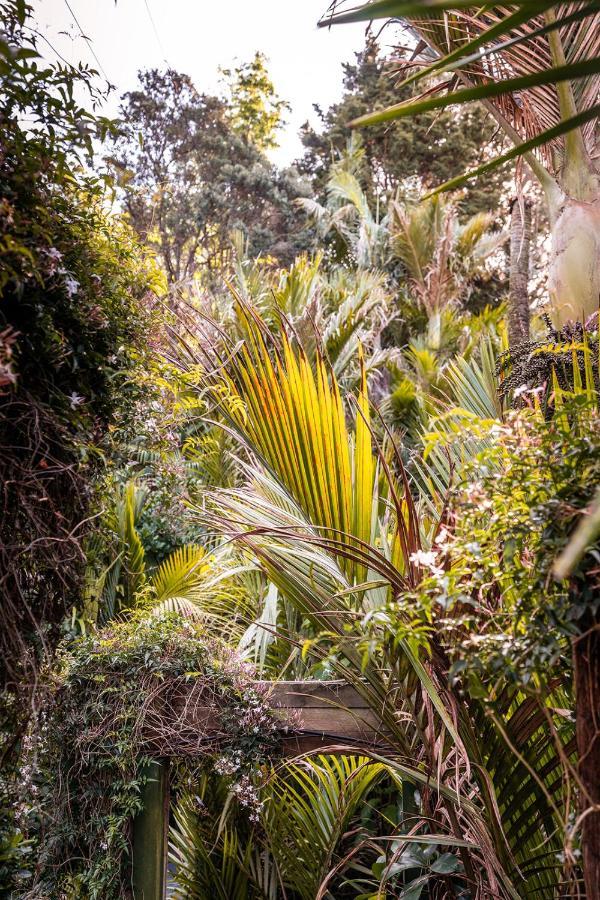 Boho Hill Waiheke Island Villa Palm Beach Esterno foto