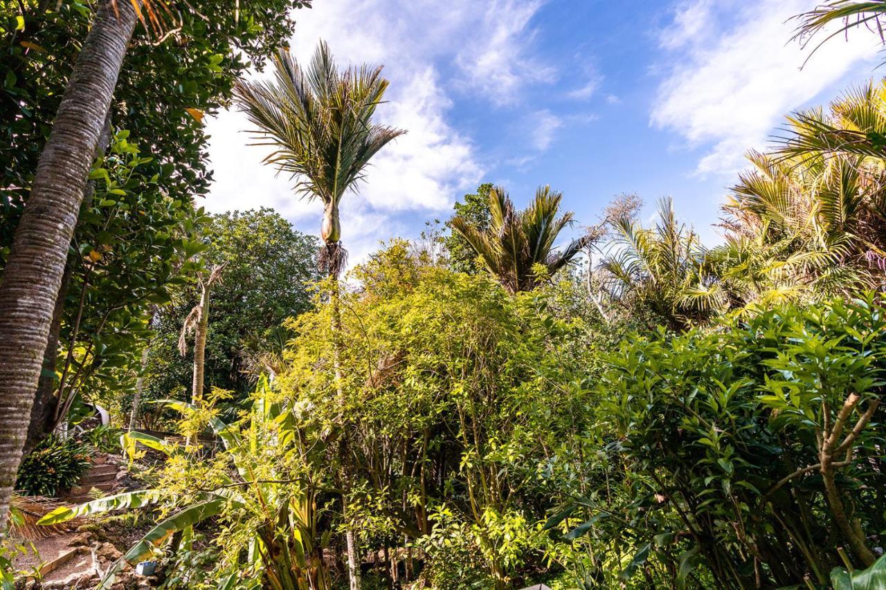 Boho Hill Waiheke Island Villa Palm Beach Esterno foto