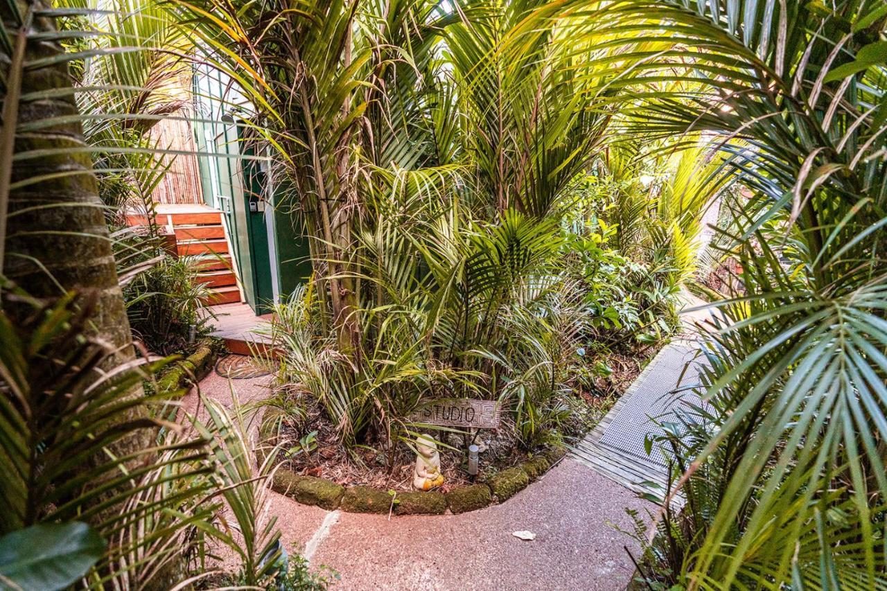 Boho Hill Waiheke Island Villa Palm Beach Esterno foto